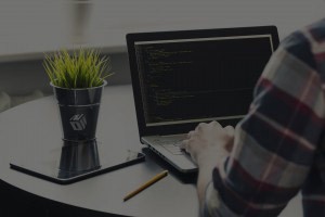 Software Development Header, Laptop, Writing Code, Plant Growth